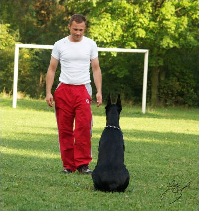 Summer training camp - Jelenec - 2007